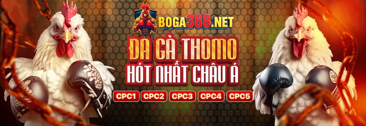Chuyên gia phân tích chiến thuật đá gà trực tiếp Thomo